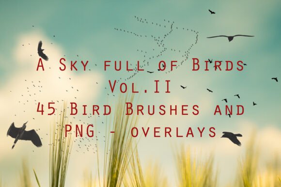 45 Bird Brushes and Bird PNG Overlays: Creative Freedom for Designers and Photographers